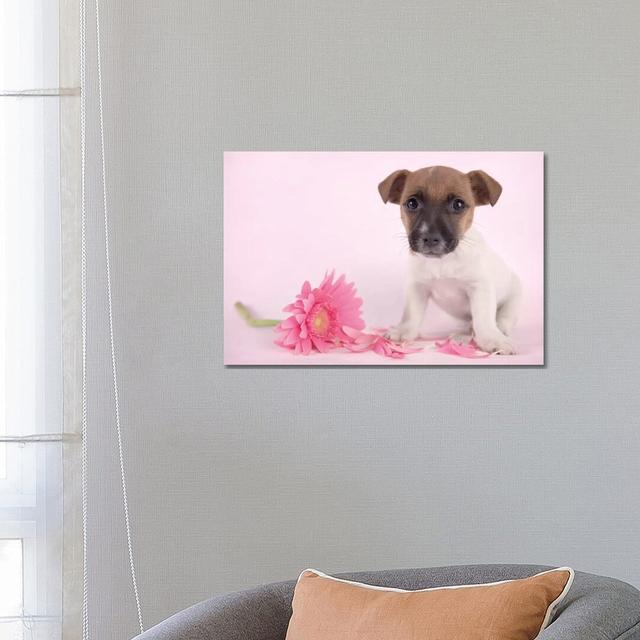 Widget by Rachael Hale - Photograph Print on Canvas Ebern Designs Format: Wrapped Canvas, Size: 45.72cm H x 66.04cm W x 3.81cm D on Productcaster.