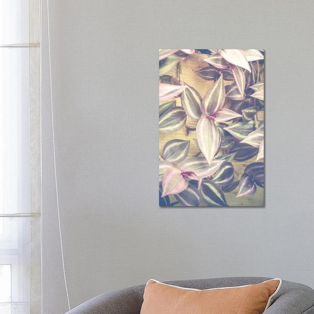 Trailing Leaves by Olivia Joy StClaire - Wrapped Canvas Gallery-Wrapped Canvas Giclée 17 Stories Size: 66.04cm H x 45.72cm W x 3.81cm D on Productcaster.