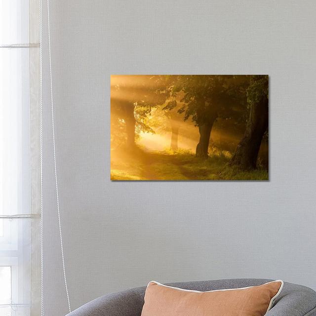 Poland, Barycz Valley Landscape Park, Sunrise by Mikolaj Gospodarek - Wrapped Canvas Photograph Latitude Run Size: 45.72cm H x 66.04cm W x 1.905cm D on Productcaster.