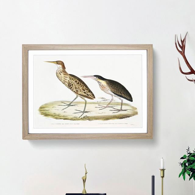 Two Herons by John Edward Gray - Picture Frame Painting Print East Urban Home Frame Option: Oak Framed, Size: 36cm H x 48cm W x 2cm D on Productcaster.