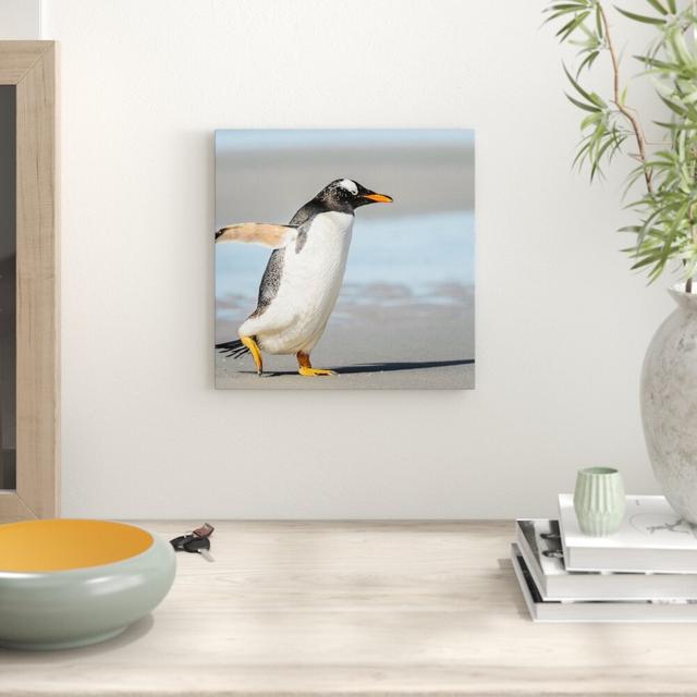 Leinwandbild Pinguin am Strand East Urban Home Größe: 60 cm H x 60 cm B on Productcaster.