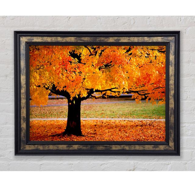 Orange Autumn Tree Framed Print Bright Star Size: 84.1cm H x 142.2cm W on Productcaster.