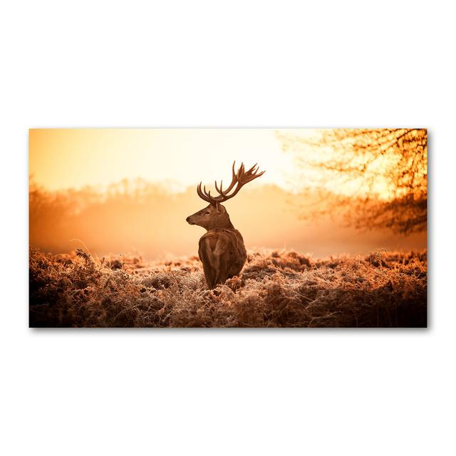 Deer Sunrise - Ungerahmte Kunstdrucke Union Rustic Format: Leinen, Größe: 50cm H x 100cm B on Productcaster.