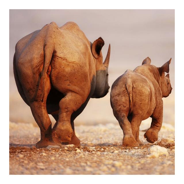 Wandering Rhinos Textured Semi-Gloss Wallpaper Roll East Urban Home Size: 2.88m x 288cm, Material quality: Standard (110g/m²) on Productcaster.