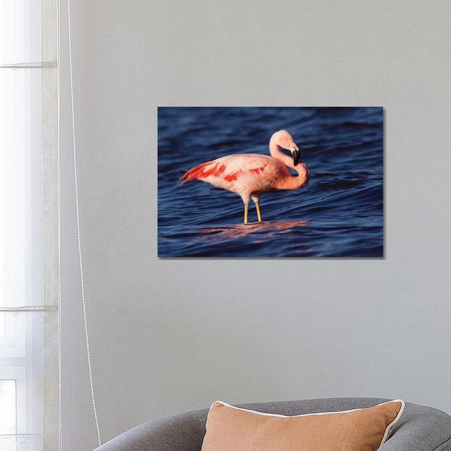 Chilean Flamingo, Pedro Luro, Argentina by Agustin Esmoris - Wrapped Canvas Print 17 Stories Size: 45.72cm H x 66.04cm W x 1.91cm D on Productcaster.