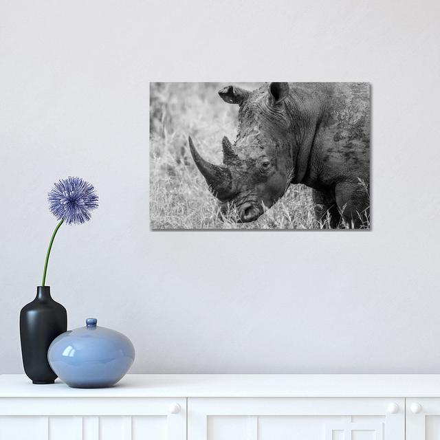 Rhino's Male by Anders Jorulf - Wrapped Canvas Photograph Latitude Run Size: 30.48cm H x 45.72cm W x 1.905cm D on Productcaster.