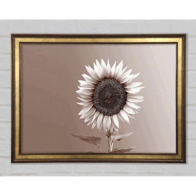 Sunflower Chocolate - Single Picture Frame Print August Grove Size: 29.7cm H x 42cm W x 1.5cm D, Format: Gold Framed Paper on Productcaster.