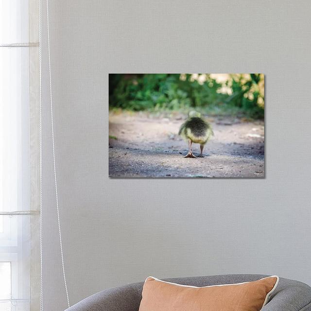 Gosling Butt by Karen Burke - Wrapped Canvas Print Latitude Run Size: 45.72cm H x 66.04cm W x 1.9cm D on Productcaster.