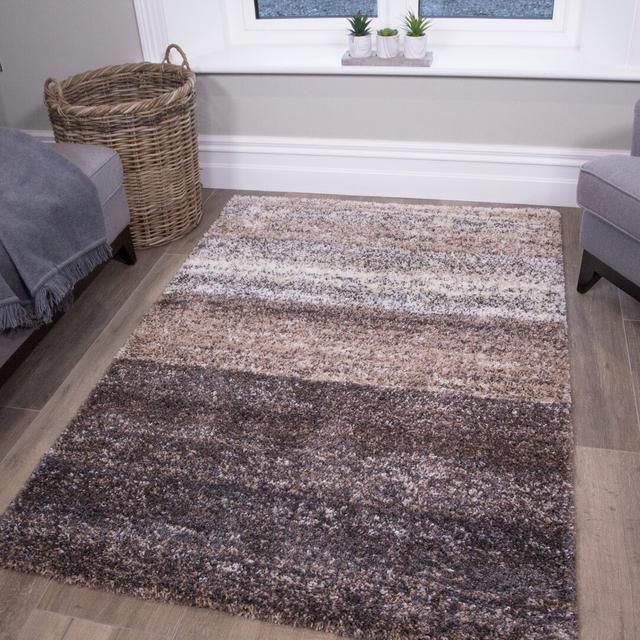 Reegan Shaggy Brown/Beige Rug Latitude Run Rug Size: Rectangle 80 x 150cm on Productcaster.