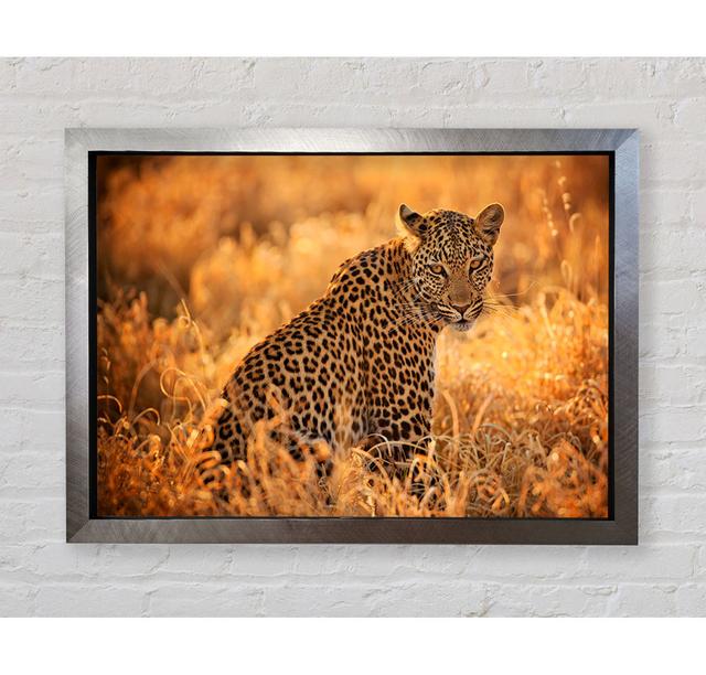 Leopard Sunset Framed Print Wall Art Latitude Run Format: Silver Framed Paper, Size: 21cm H x 29.7cm W x 3cm D on Productcaster.