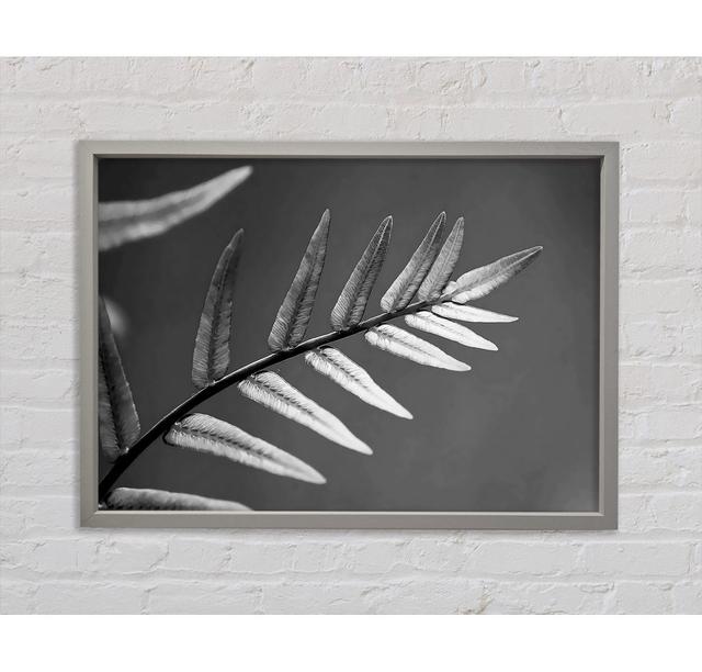 Grey Leaves - Single Picture Frame Art Prints on Canvas August Grove Size: 100cm H x 141.4cm W on Productcaster.