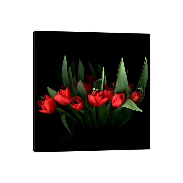 Roter Tulpenstrauß mit grünen Blättern von Magda Indigo - Galerie-umwickelte Leinwand Giclée auf Leinwand Ebern Designs Format: Leinwandbild, Größe: 6 on Productcaster.