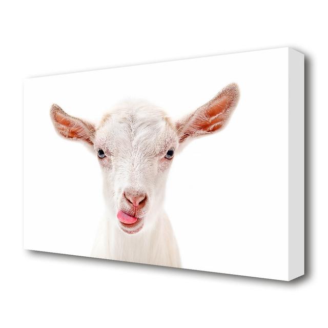 Goating Around Wildlife - Wrapped Canvas Photograph Print East Urban Home Size: 81.3cm H x 121.9cm W on Productcaster.