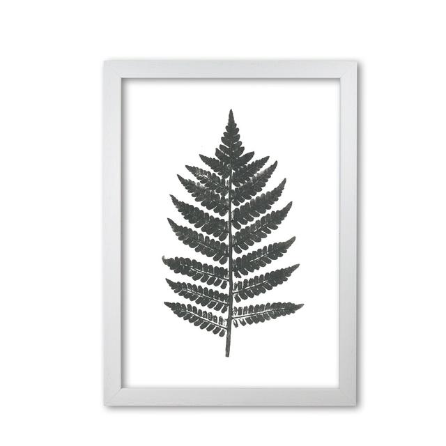 Vintage Fern - Print East Urban Home Size: 42 cm H x 30 cm W x 5 cm D, Format: White Grain Frame on Productcaster.