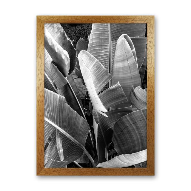 Palms Leafs by Victoria Frost - Print 17 Stories Format: Oak Framed, Size: 63cm H x 46cm W x 3cm D on Productcaster.