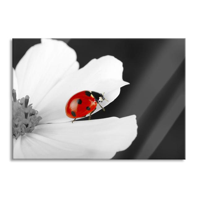 Cute Ladybird On A Flower - No Frame Print on Glass 17 Stories Size: 60cm H x 80cm W x 0.4cm D on Productcaster.