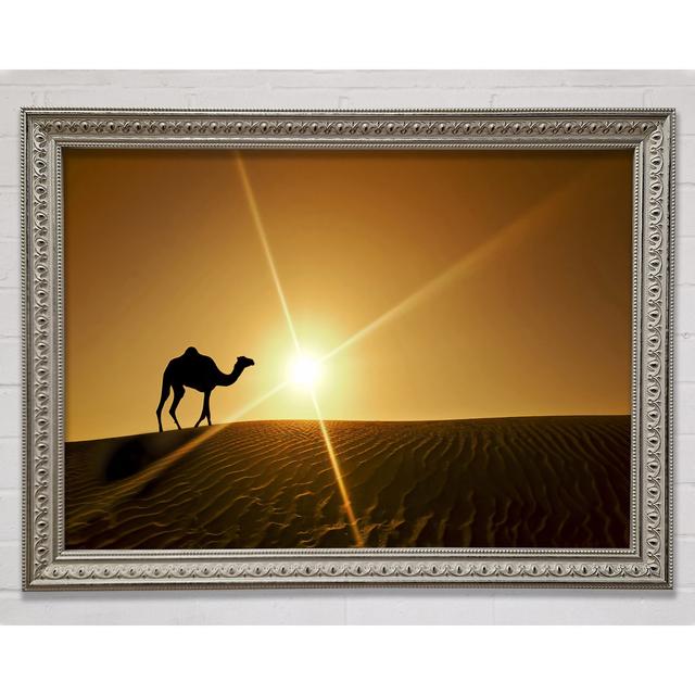 Desert Camel - Print Brayden Studio Size: 59.7cm H x 84.1cm W x 3cm D, Format: Black Framed Paper on Productcaster.