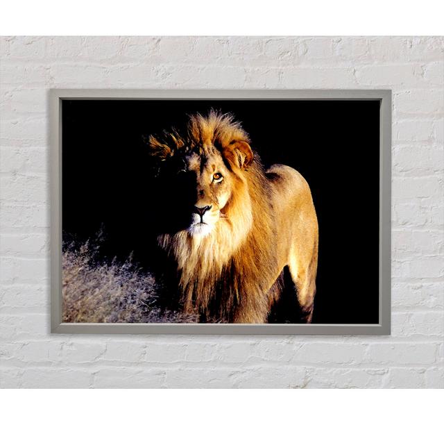 Lion Watch - Single Picture Frame Art Prints on Canvas Bright Star Size: 84.1cm H x 118.9cm W x 3.3cm D on Productcaster.