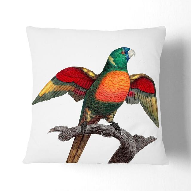 A Blue-Headed Parrot by F. Levaillant Cushion with Filling East Urban Home Size: 55 x 55 cm, Backing Colour: Stone on Productcaster.