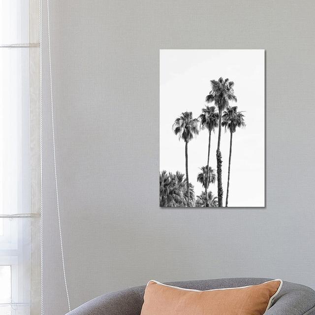 Palm Trees | Monochrome by Melanie Viola - Wrapped Canvas Print 17 Stories Size: 45.72cm H x 30.48cm W x 1.905cm D on Productcaster.