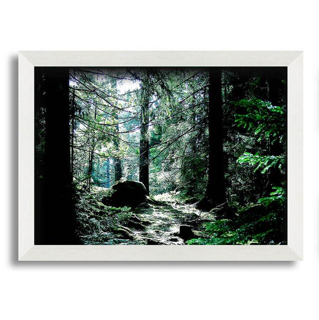 Trickling Stream - Single Picture Frame Art Prints Brayden Studio Size: 21cm H x 29.7cm W on Productcaster.