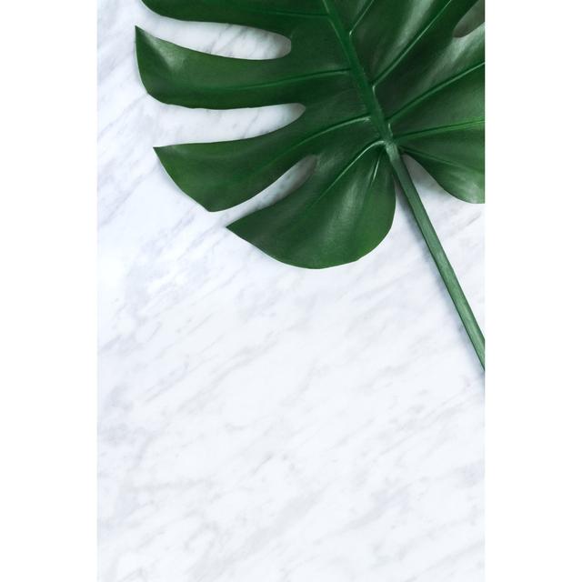 Dark Tropical Leaf by Studio Light And Shade - Wrapped Canvas Photograph Bay Isle Home Size: 76cm H x 51cm W on Productcaster.