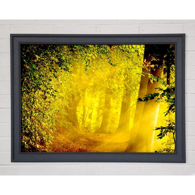 Enchanted Forest - Single Picture Frame Art Prints Union Rustic Size: 29.7cm H x 42cm W on Productcaster.