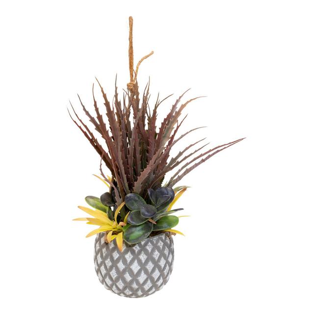 Artificial Succulent in Pot The Seasonal Aisle Size: 37cm H x 23cm W x 28cm D on Productcaster.