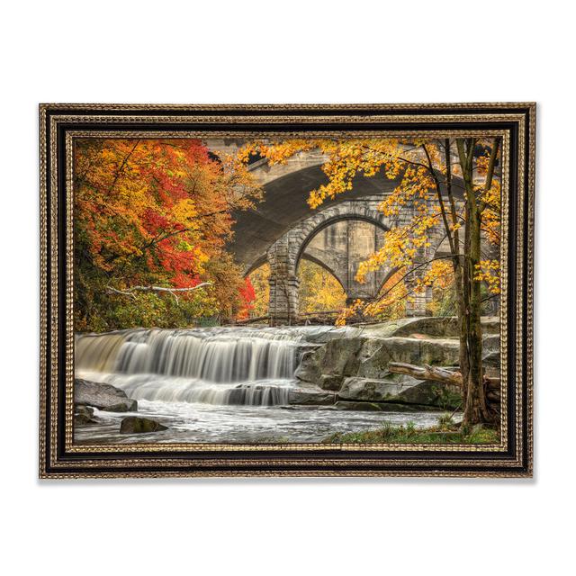 Bridge In The Forest - Print Union Rustic Size: 84.1cm H x 118.9cm W x 3cm D on Productcaster.