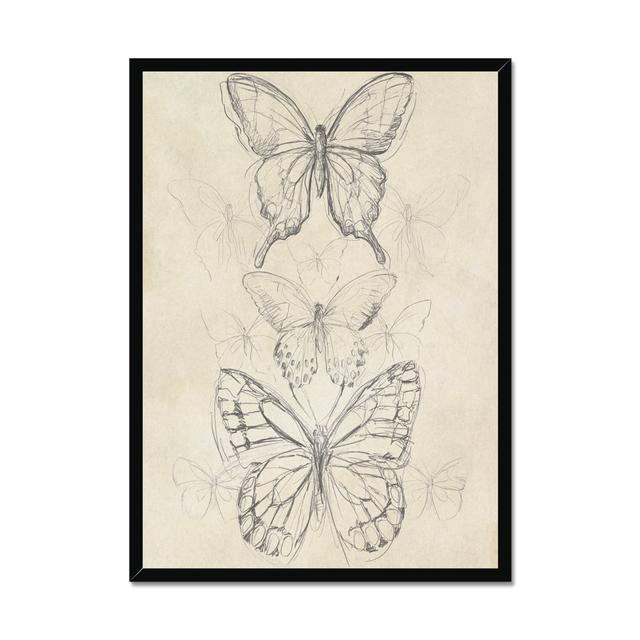 Vintage Butterfly II by June Erica Vess - Print Marlow Home Co. Size: 80cm H x 55cm W, Format: Black Framed Paper Print on Productcaster.