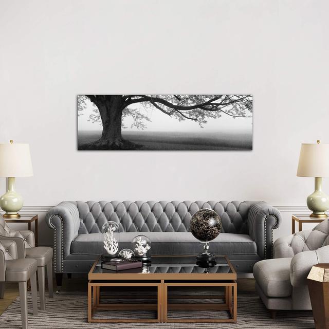 Tree In A Farm, Knox Farm State Park, East Aurora, New York State, Usa by Panoramic Images - Wrapped Canvas Panoramic Print Brayden Studio Size: 50.8c on Productcaster.