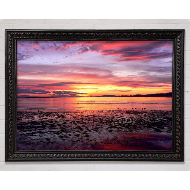 Pebbles In The Morning Sunrise Framed Print Highland Dunes Size: 29.7cm H x 42cm W x 3cm D on Productcaster.