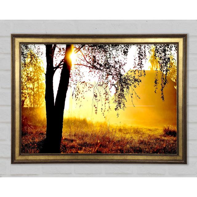 Sunlight Through The Tree - Print Rosalind Wheeler Size: 29.7cm H x 42cm W x 1.5cm D on Productcaster.