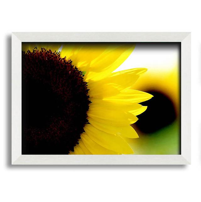 Sunflower Really Close-up - Single Picture Frame Art Prints August Grove Size: 21cm H x 29.7cm W x 10cm D on Productcaster.