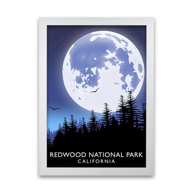 Redwood National Park California by Richard O'Neill - Picture Frame Graphic Art Print on Paper 17 Stories Frame Options: White, Size: 42 cm H x 297 cm on Productcaster.