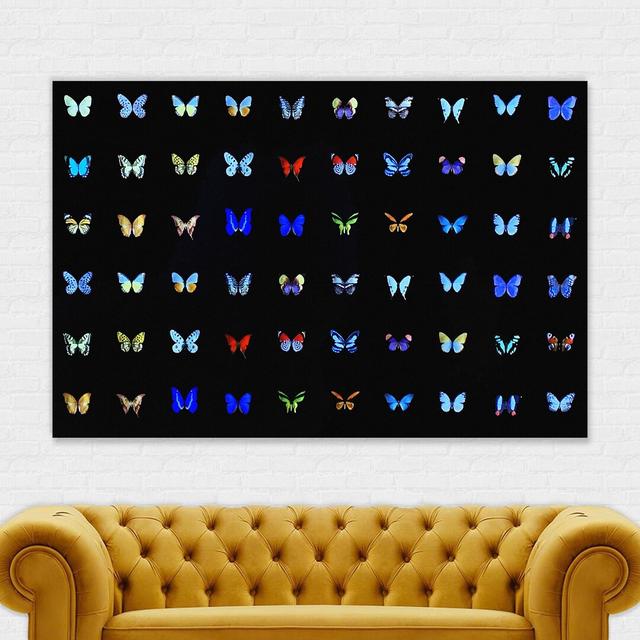 Butterfly Collage Multicolour - Wrapped Canvas Graphic Art Latitude Run Size: 21cm H x 31cm W x 4cm D on Productcaster.