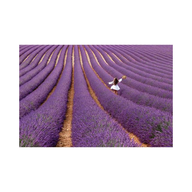 Violet by Massimo Della Latta - Wrapped Canvas Photograph Lily Manor Size: 30.48cm H x 45.72cm W x 1.91cm D on Productcaster.