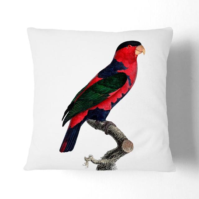 A Black-Capped Lory by F. Levaillant Cushion with Filling East Urban Home Size: 55 x 55 cm, Backing Colour: White on Productcaster.