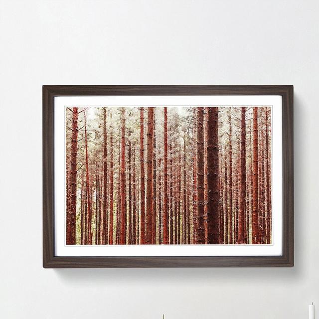 Red Forest in the Autumn - Picture Frame Photograph Print East Urban Home Frame Option: Walnut Framed, Size: 27cm H x 36cm W x 2cm D on Productcaster.