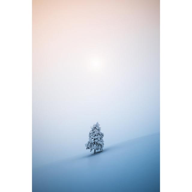 Christmas Tree - Wrapped Canvas Print 17 Stories Size: 46cm H x 30cm W x 3.8cm D on Productcaster.