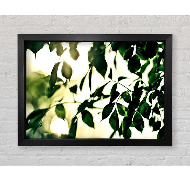 Gerahmtes Leinwandbild Summer Green Leaves Brayden Studio Format: Poster mit schwarzem Rahmen, Größe: 42,1 cm H x 59,7 cm B x 3,4 cm T on Productcaster.