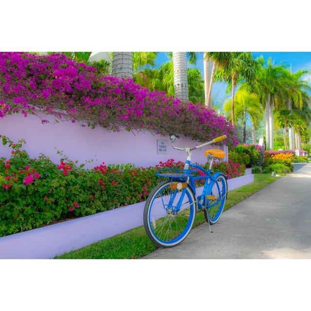 Cruiser Bike by Eric Laudonien - Wrapped Canvas Photograph 17 Stories Size: 20cm H x 30cm W on Productcaster.