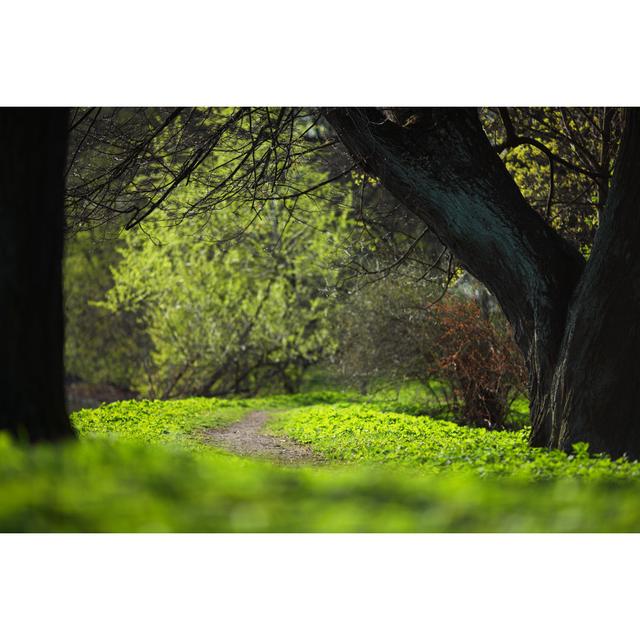 Spring Park by Ivan Mikhaylov - Wrapped Canvas Photograph 17 Stories Size: 61cm H x 91cm W x 3.8cm D on Productcaster.