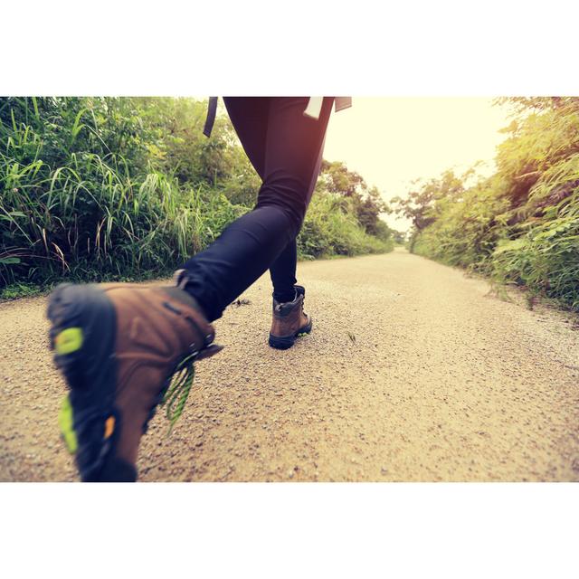 Hiking on Forest Trail by Lzf - Wrapped Canvas Photograph Marlow Home Co. Size: 30cm H x 46cm W on Productcaster.