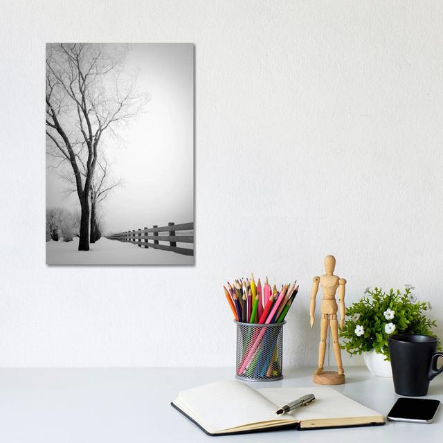 Hoarfrost Fence by Nik Rave - Wrapped Canvas Art Prints Latitude Run Size: 30.48cm H x 20.32cm W on Productcaster.