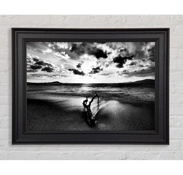 Driftwood B N W Framed Print Highland Dunes Size: 59.7cm H x 84.1cm W on Productcaster.