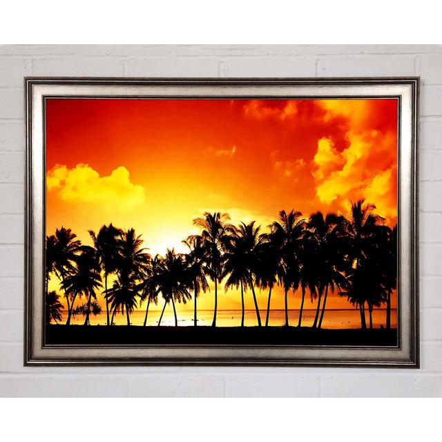 Orange Palm Tree Sunset - Single Picture Frame Art Prints Bay Isle Home Size: 42cm H x 59.7cm W x 1.5cm D on Productcaster.