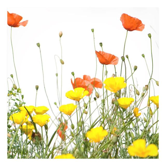 Wild Flowers Graphic Art Print on Canvas East Urban Home Size: 80 L x 80 W on Productcaster.