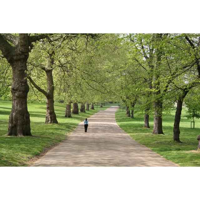 Woman Walking In Park by M_r_harvey - Wrapped Canvas Print 17 Stories Size: 51cm H x 76cm W on Productcaster.