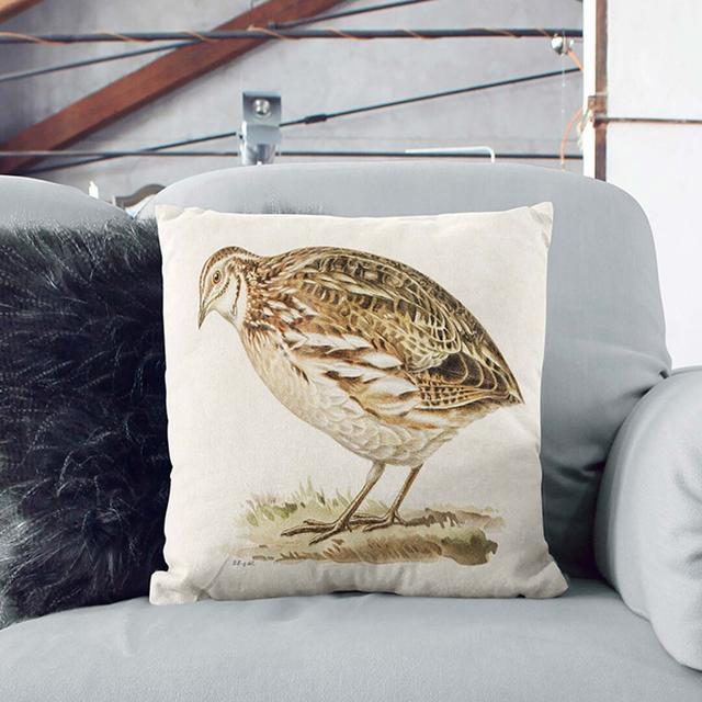 Common Quail by Von Wright Cushion with Filling East Urban Home Size: 40cm H x 40cm W x 15cm D, Backing Colour: Black on Productcaster.